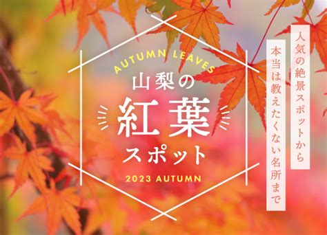 山梨の人気紅葉スポット2023秋～富士との競演や知られざる穴場まで Porta