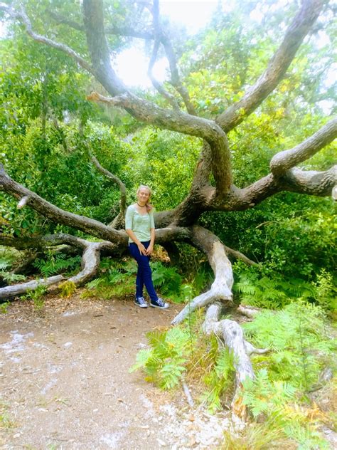 Tree of Life - Symbolic poem - LetterPile