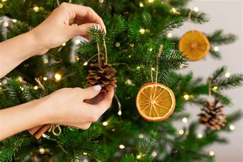 Así fue como llegó el primer árbol de Navidad a México