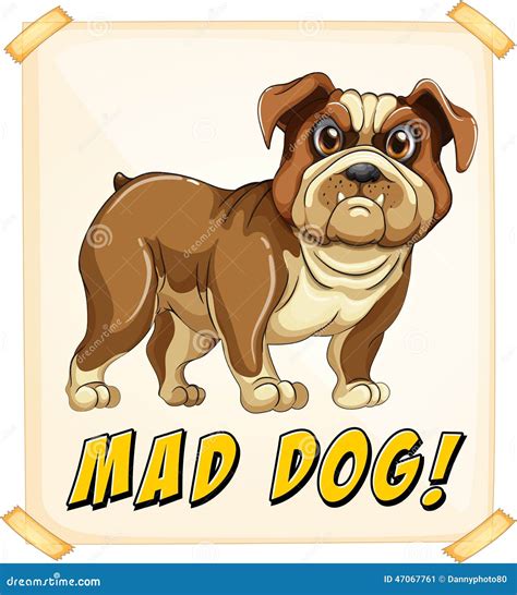 Mad Dog Stock Vector - Image: 47067761