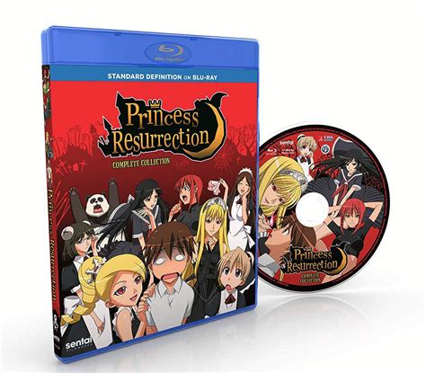 Achetez BluRay Princess Resurrection Complete Collection Blu Ray