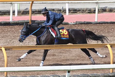 【オークス】1週前追い ライトバックはシャープに伸びて4馬身半先着 茶木師「今週がレースでもいいくらい」 サンスポzbat