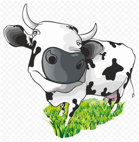 Hd Cartoon Black White Calf Cow Png Citypng