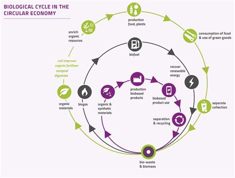 Circular Bioeconomy European Compost Network