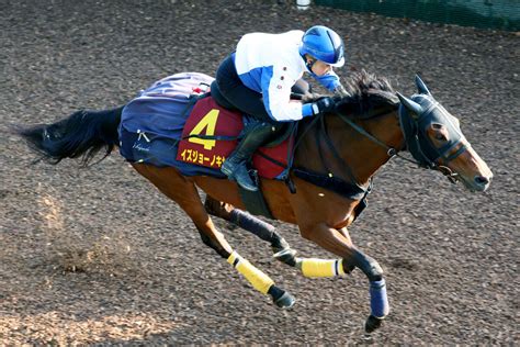 【岩田康誠の熱血！！競馬道】ヴィクトリアマイルはイズジョーノキセキと一発狙う Umatoku 馬トク