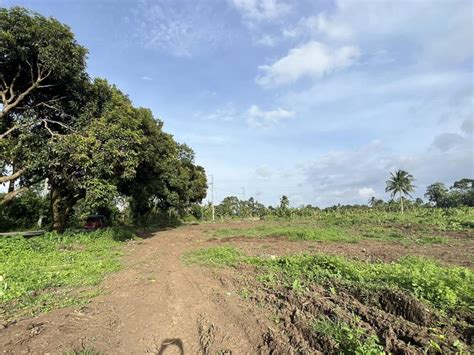 Alfonso Residential Farm Lot For Sale Near Tagaytay Lot March 2024