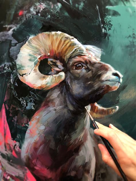 Lindsey Kustusch The Rocky Mountain Bighorn Sheep 2023 Available