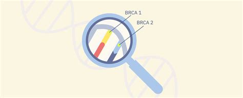 Что делать, если вы являетесь носителем мутации BRCA? | Купрум