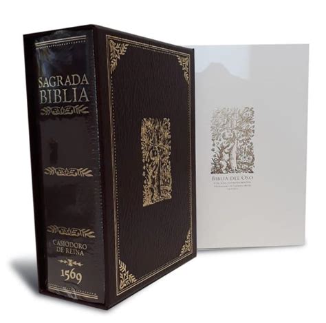 Sint Tico Foto Biblia Del Oso Original Precio Mirada Tensa