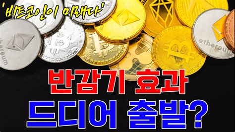 반감기 효과 드디어 출발 비트코인 비트코인전망 비트코인분석 코인현황 독고다이 독고다이 투자클럽 YouTube