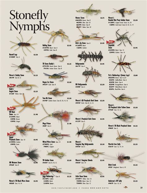 Fly Fishing Identification Chart At Delbert Calvillo Blog