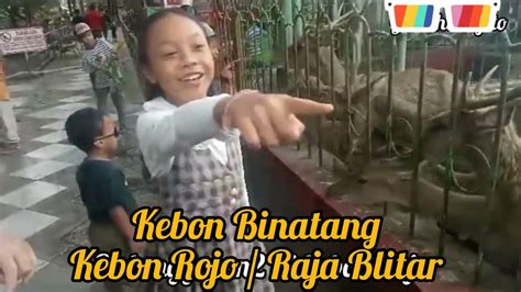 Kebon Binatang Kebon Rojo Raja Blitar Youtube