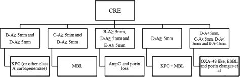 Frontiers Detection And Characterization Of Carbapenemases In