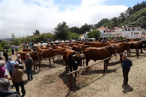 Vuelve A La Calle La Festividad Del Huevo Duro En El Municipio De Valleseco