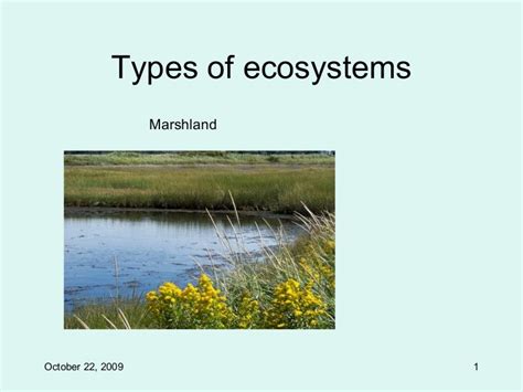 Types Of Ecosystems