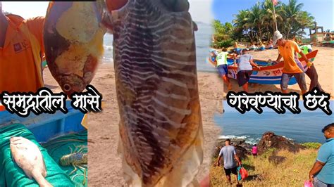 Fishing Kokanसमुद्रातील मासे 🐟🐠🦈 खडकातील गरवण्याचा छंद Youtube