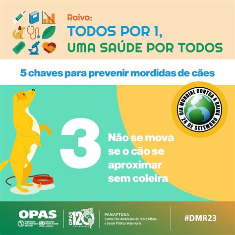 Dia Mundial Contra A Raiva Opas Oms Organiza O Pan Americana