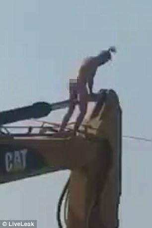 Naked Man Masturbating On Excavator In Florida YourTango