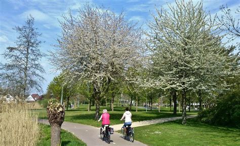 Stichting Groen Weert Organiseert Fietstocht Op Tweede Paasdag