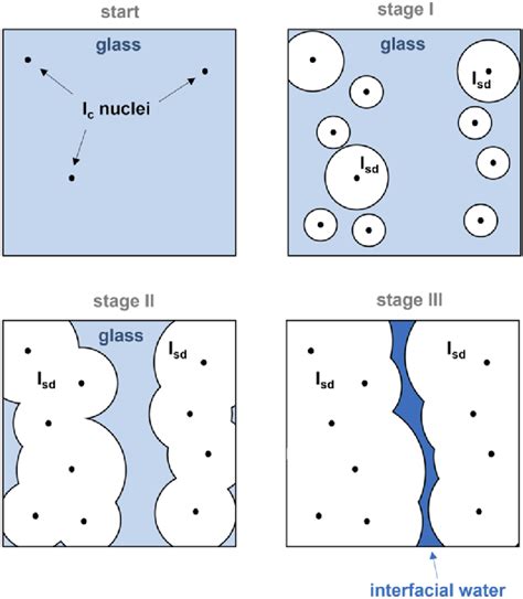 Simplified Schematic Representation Of The Three Stages Of Download Scientific Diagram