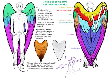 35+ Trends For How To Draw Wings On Humans - Sarah Sidney Blogs