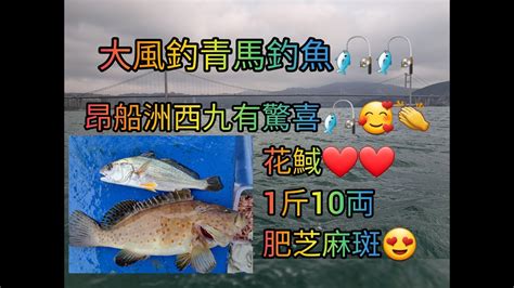 【香港艇釣精華】x 第72集 青馬昂船洲西九釣魚魚獲vlog ｜1斤10両芝麻斑｜花䱛｜庵釘｜䱛仔｜雞仔｜石狗雜魚｜19 03 2023