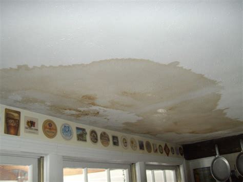 Mold Ceiling Paint / Zinsser Ceiling Paint | Painting bathroom, Interior paint ... - Kilz ...