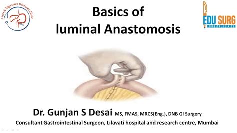 Intestinal Anastomosis Layers Nomenclature Phasis Of Healing