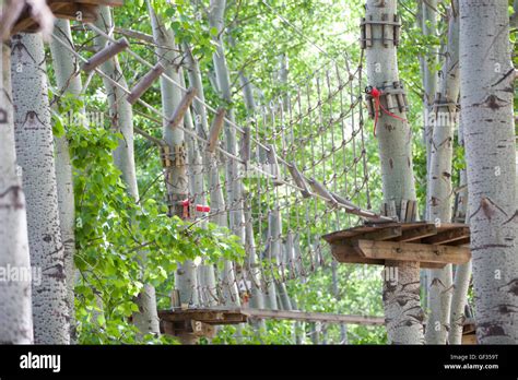 Tree top adventure park Stock Photo - Alamy