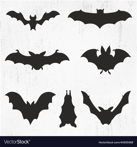 Bat Bundle Svg Clipart Cricut Svg Royalty Free Vector Image