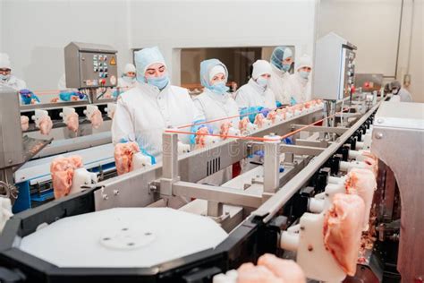 Chicken Fillet Production Line Factory For The Production Of Food