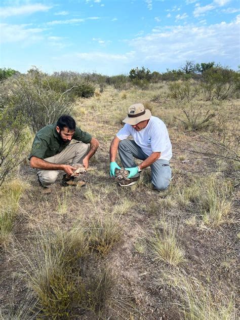 Apn La Pampa El Gobierno Provincial A Trav S De La Subsecretar A De