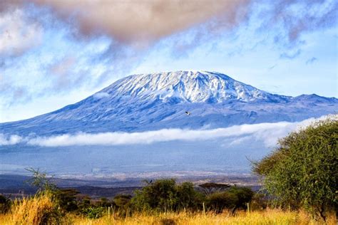 Mont Kilimandjaro Le Mythique Toit De Lafrique L Odyss E De La Terre