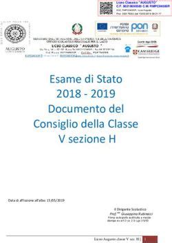 Esame Di Stato 2018 2019 Documento Del Consiglio Della Classe V