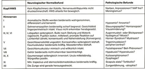 Zns Hirnnerven Karteikarten Quizlet