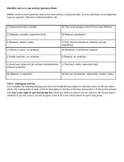 Lab11 InLab Questions Sheet Docx BIO182L Lab 11 In Lab Activity