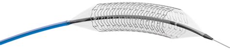 Peripheral Balloon Expandable Stent System Duomed