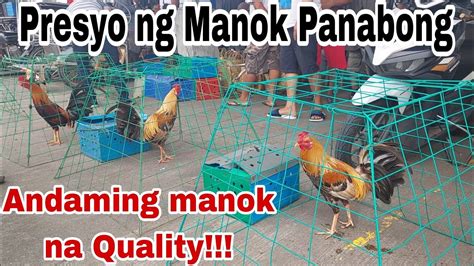 Isa Sa Pinakamalakas Na Bentahan Ng Manok Panabong Presyo Ng Manok Sa