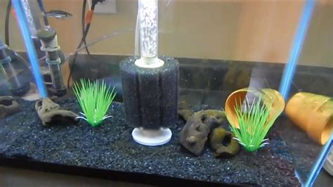 Sponge Filters: 10 Reasons Why They're Awesome for Aquariums