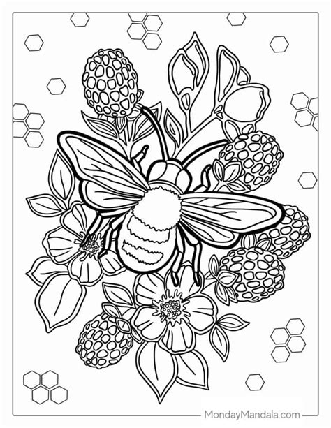 32 Bee Coloring Pages (Free PDF Printables)