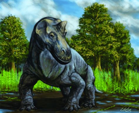 Reconstruction Of The Dinocephalian Struthiocephalus By Matt Celeskey