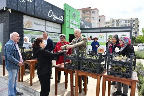 Anakkale Olay Son Dakika Haber Anakkale Haber Yerel Tohum