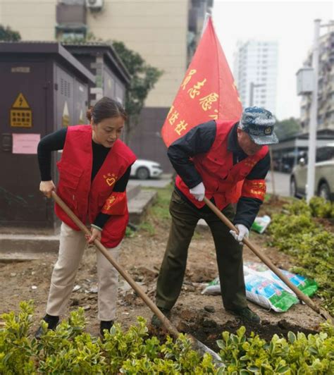 党员冬训 南苑街道组织党员志愿者开展“不负春光 植树添绿”活动中国江苏网