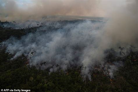 La Deforestaci N Del Amazonas Alcanza Un R Cord Hist Rico En Brasil