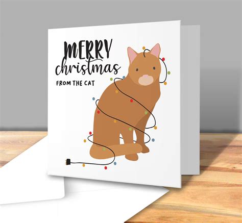 Merry Christmas From The Cat In Lights Christmas Greetings Card