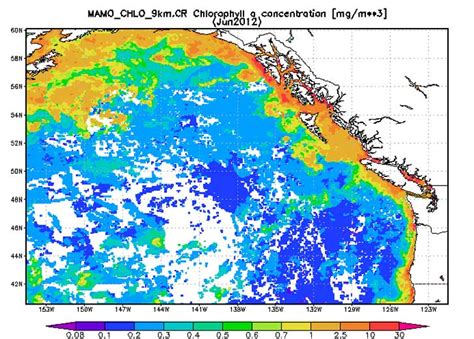 Rogue Geoengineering Experiment Creates Massive Algae Bloom in Pacific ...