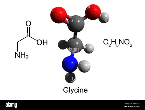 Amino Acid Structure 3d