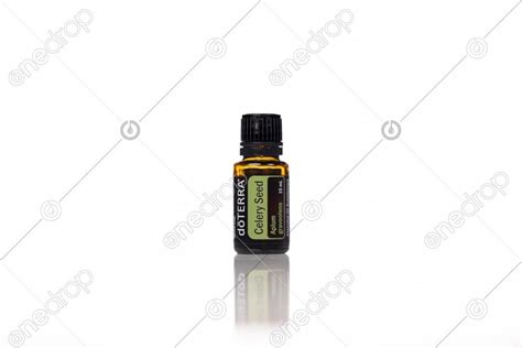 DoTERRA Celery Seed 15ml Transparent On White By Jaden Magleby