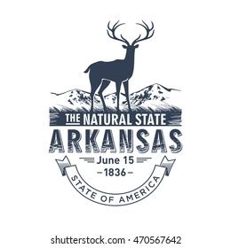 Imitation Arkansas License Plate Text Land Stock Vector Royalty Free