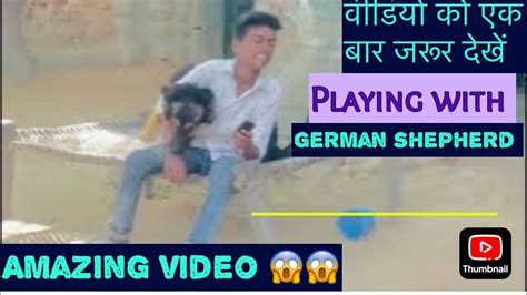 जर्मन शेफर्ड लड़के के साथ खेलते हुए फुल मस्ती वीडियोtrendingvideo